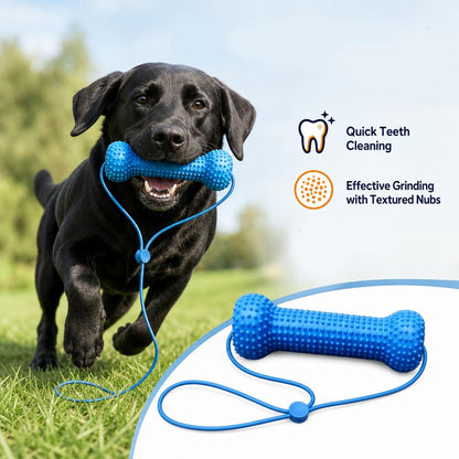 ChewCare™ Dental Bone