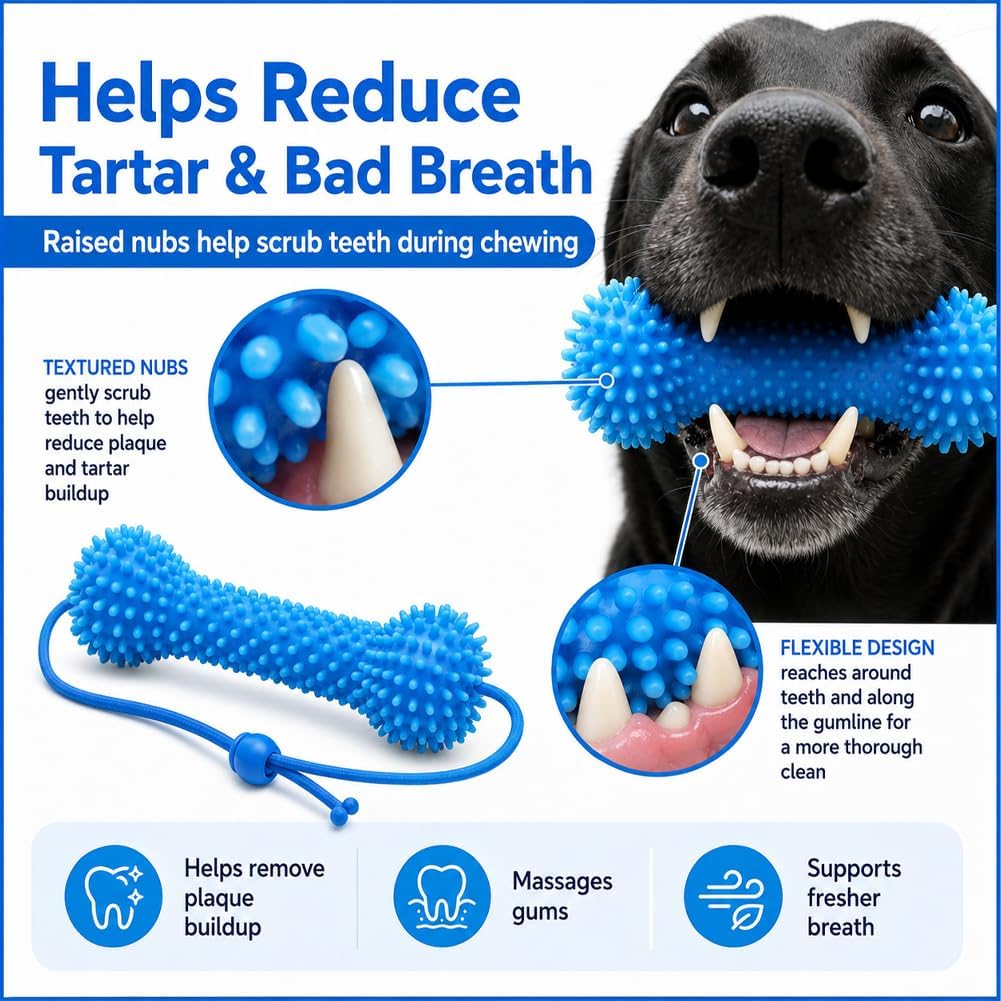ChewCare™ Dental Bone