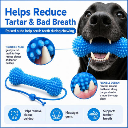 ChewCare™ Dental Bone