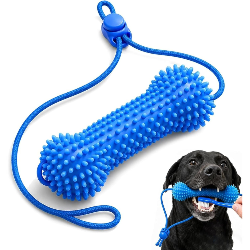 ChewCare™ Dental Bone