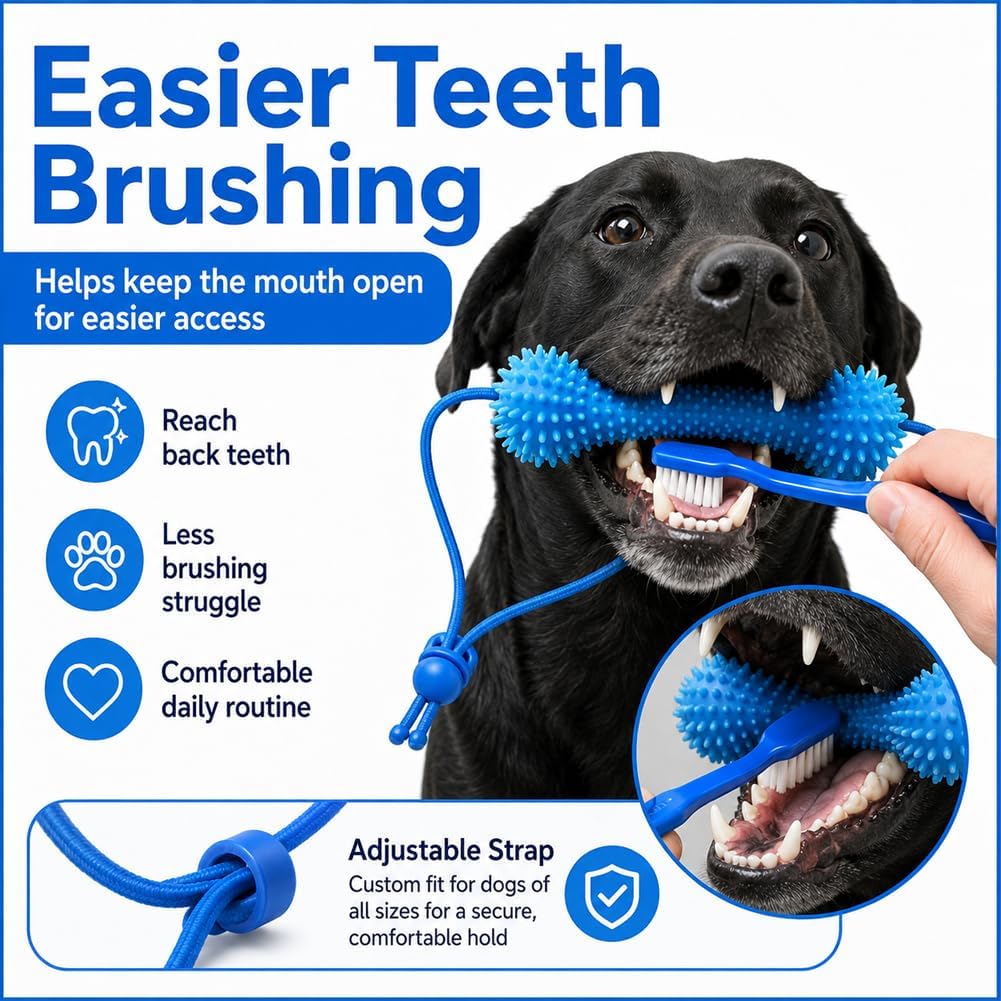 ChewCare™ Dental Bone