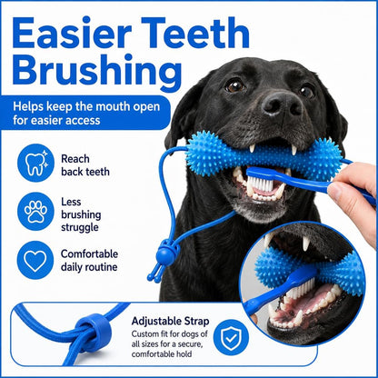 ChewCare™ Dental Bone