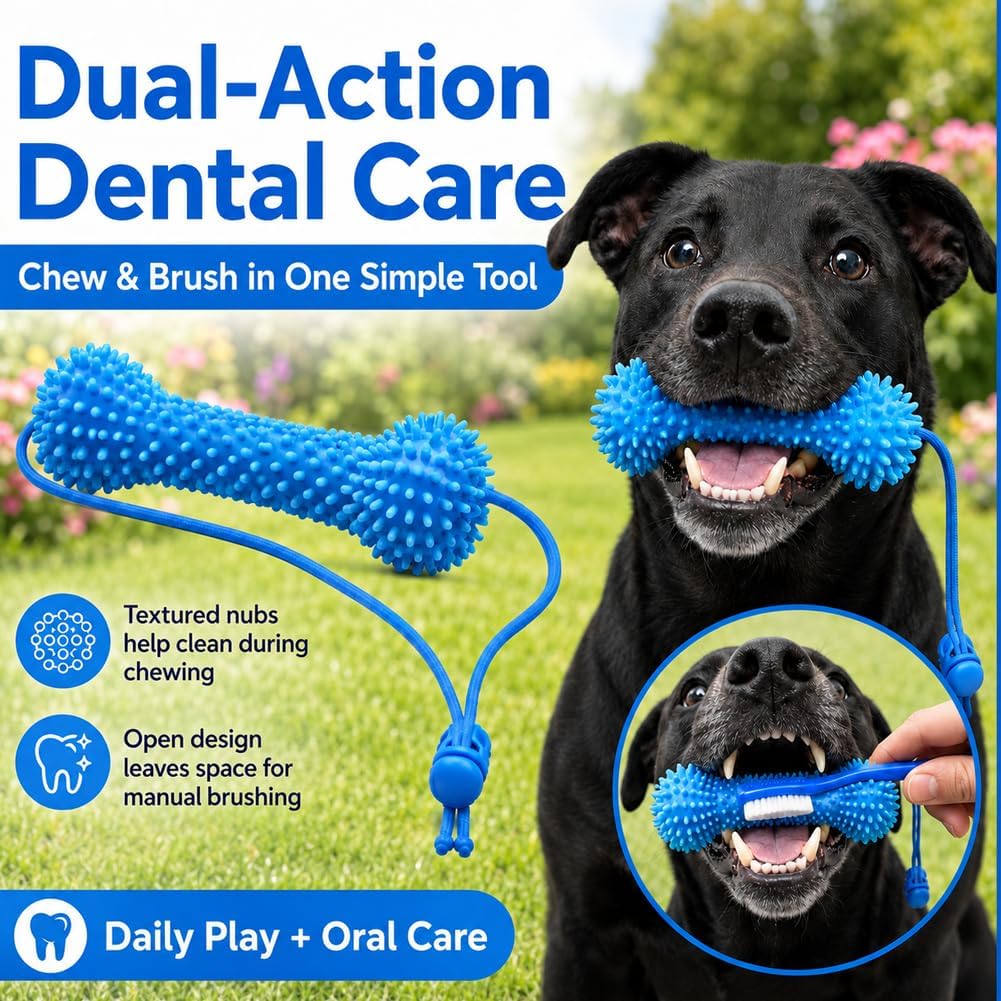 ChewCare™ Dental Bone
